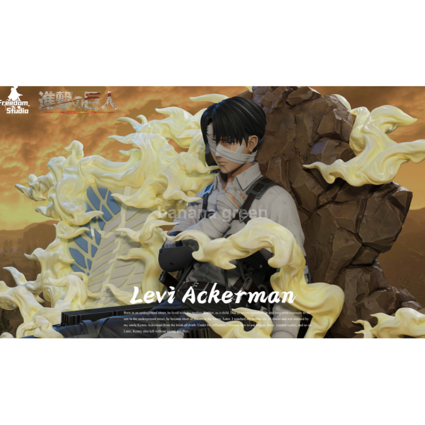 (현물)진격의거인(Freedom STUDIO) 병장 리바이 아커만 한정판 레진 피규어