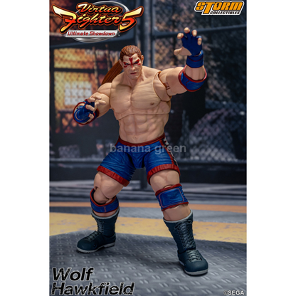 Storm Toys Virtua Fighter VR WOLF HAWKFIELD 볼프 피규어 1/12