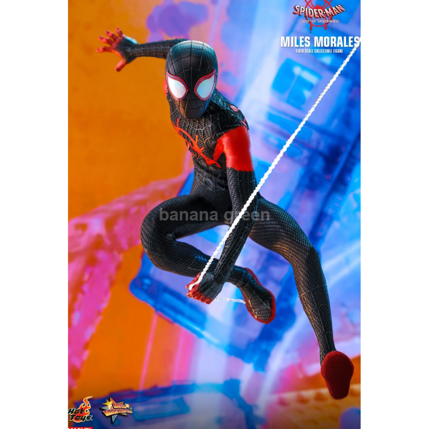 핫토이 HOTTOYS MMS567 스파이더맨 뉴유니버스 1/6 마일즈모랄레스