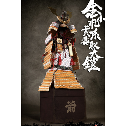 COOMODEL 쿠모델 SE063 다이캐스트 1/6 골드드래곤 아머