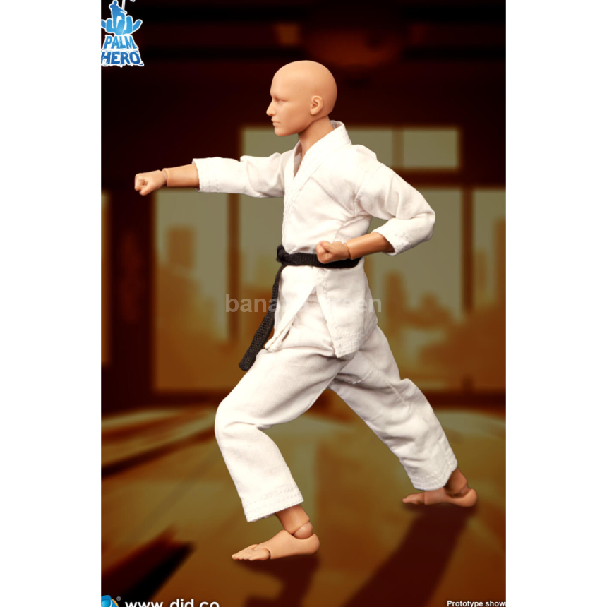 DID SF80001 Simply Fun 1/12 가라데 플레이어
