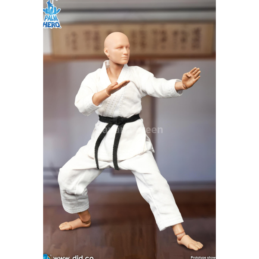 DID SF80001 Simply Fun 1/12 가라데 플레이어