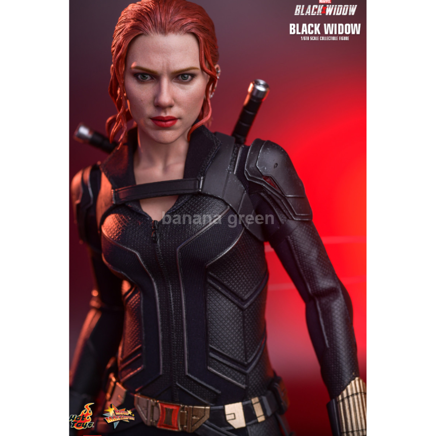 핫토이 Hottoys MMS603 마블 1/6 블랙위도우