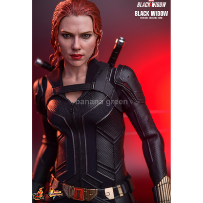 핫토이 Hottoys MMS603 마블 1/6 블랙위도우