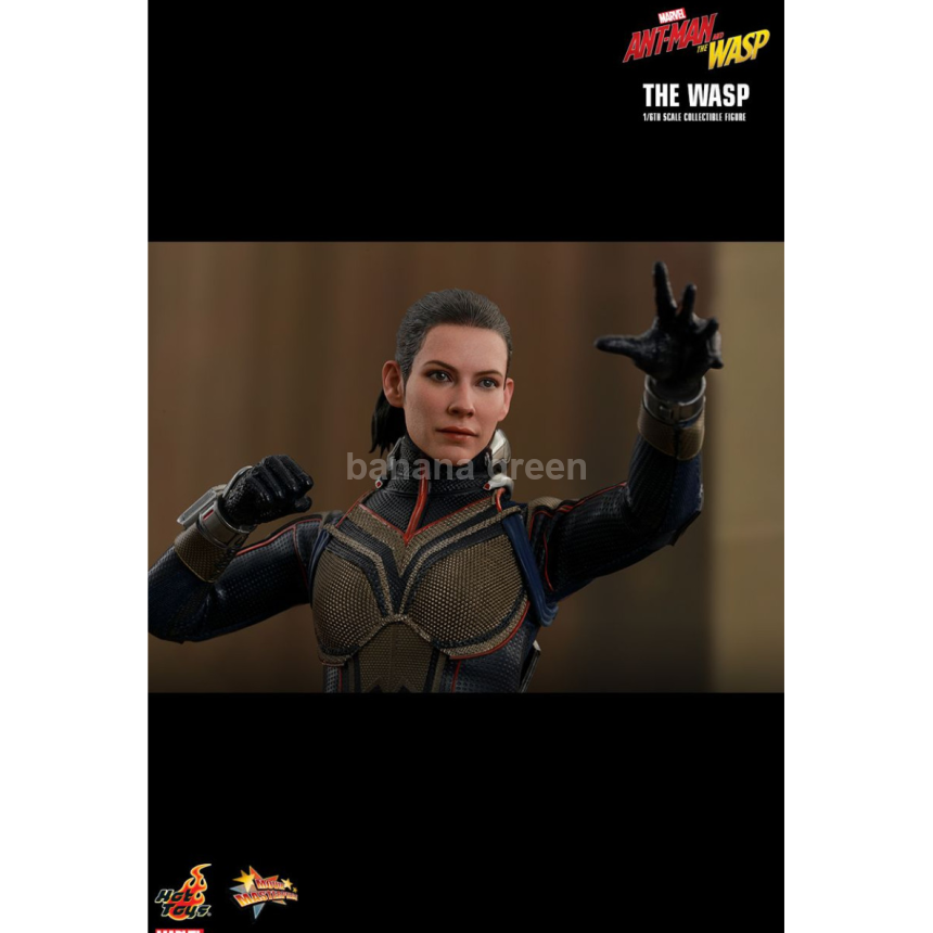 핫토이 HOTTOYS MMS498 앤트맨2 1/6 WASP 와스프