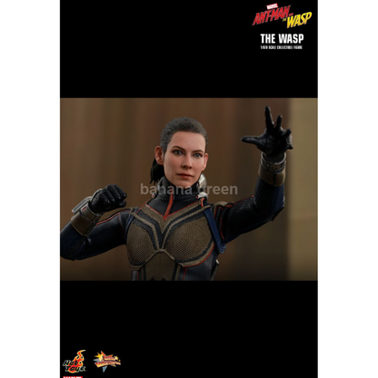 핫토이 HOTTOYS MMS498 앤트맨2 1/6 WASP 와스프