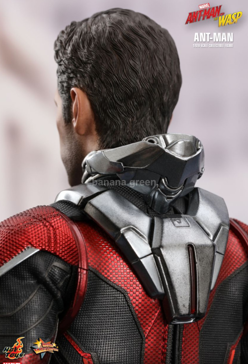 핫토이 1/6 와스프 WASP 앤트맨 피규어 HOTTOYS mms497