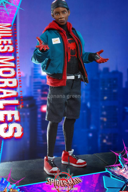 HOTTOYS MMS567 핫토이 스파이더맨 마일스 모랄레스 1/6 피규어