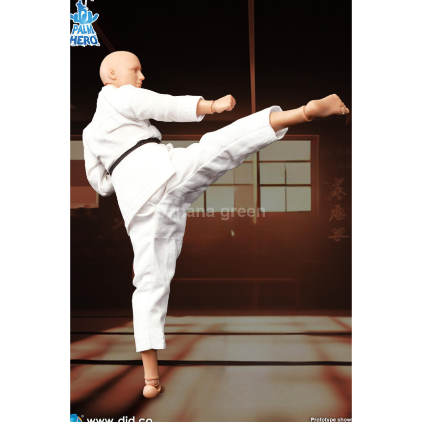 DID SF80001 Simply Fun 1/12 가라데 플레이어