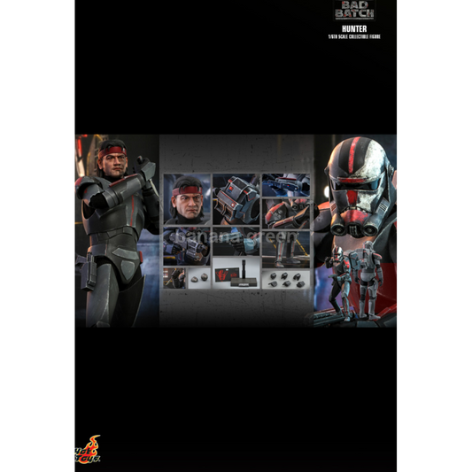 핫토이 Hottoys TMS050 스타워즈 배드배치 1/6 헌터