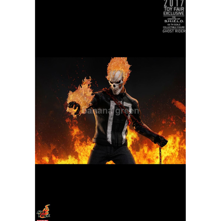 핫토이 Hottoys TMS005 에이전트 오브 쉴드 1/6 고스트라이더