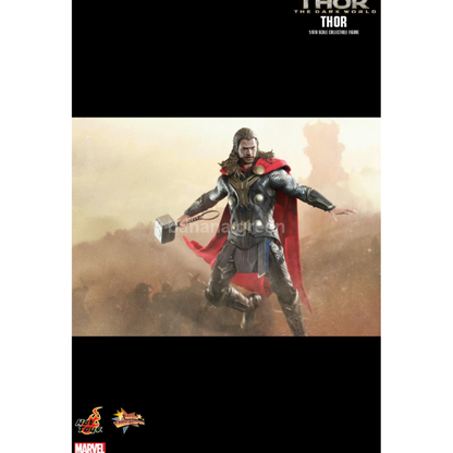 핫토이 Hottoys MMS224 토르 다크월드 1/6 THOR