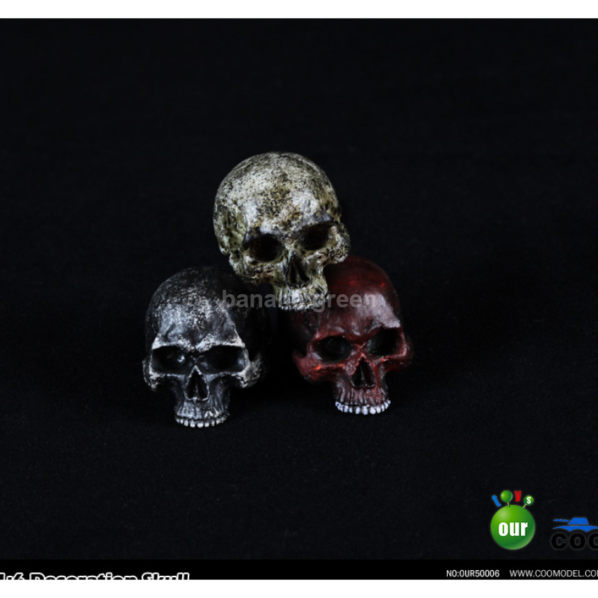 COOMODEL 쿠모델 OUR50006 1/6 해골 스켈레톤