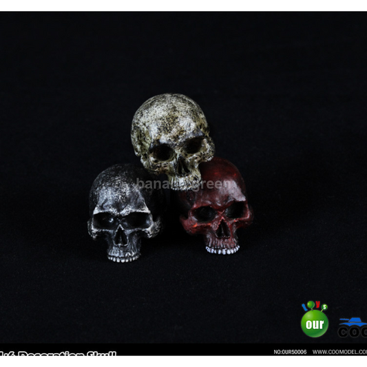 COOMODEL 쿠모델 OUR50006 1/6 해골 스켈레톤