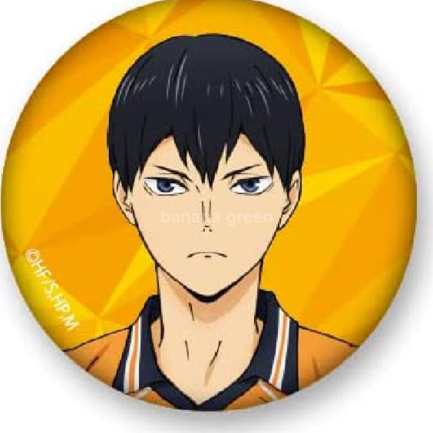 Movic 하이큐 TO THE TOP 트레이딩 캔뱃지 14개입 BOX