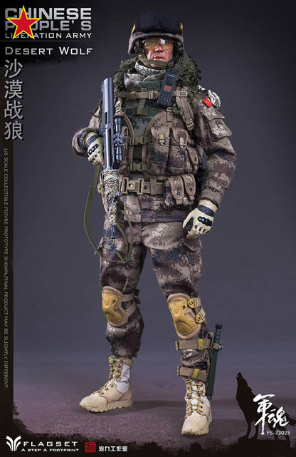 플래그셋 FLAGSET FS73025 1/6 중국 육군 Desert Wolf