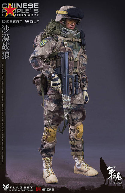플래그셋 FLAGSET FS73025 1/6 중국 육군 Desert Wolf