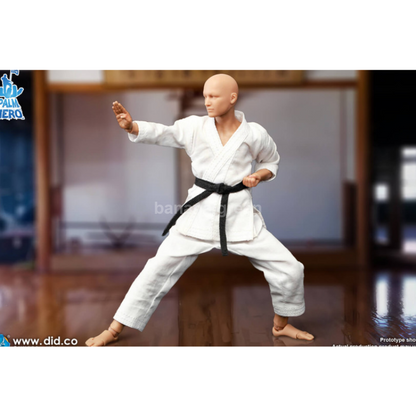 DID SF80001 Simply Fun 1/12 가라데 플레이어