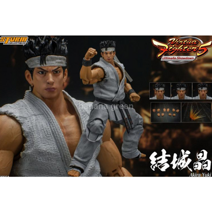 스톰토이즈 Storm Toys SGVF01 버츄어파이터 아키라 1/12 피규어