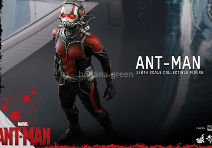 핫토이 앤트맨1.0 스캇랭 HotToys mms308