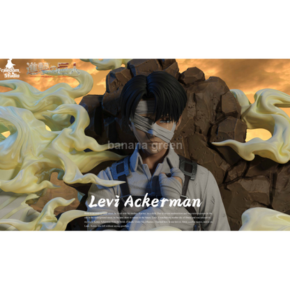 (현물)진격의거인(Freedom STUDIO) 병장 리바이 아커만 한정판 레진 피규어