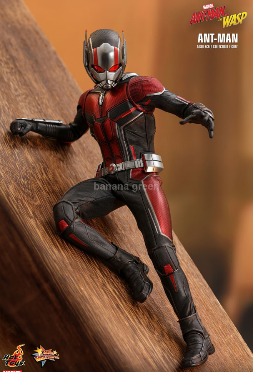 핫토이 1/6 와스프 WASP 앤트맨 피규어 HOTTOYS mms497