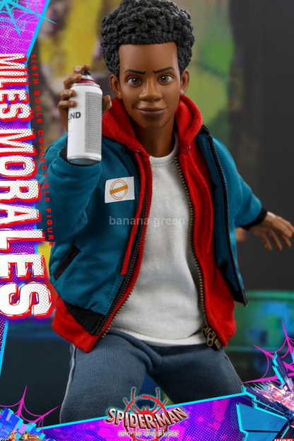 HOTTOYS MMS567 핫토이 스파이더맨 마일스 모랄레스 1/6 피규어