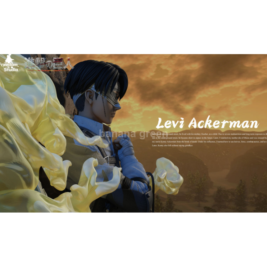 (현물)진격의거인(Freedom STUDIO) 병장 리바이 아커만 한정판 레진 피규어