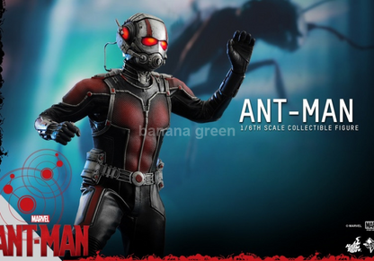 핫토이 앤트맨1.0 스캇랭 HotToys mms308