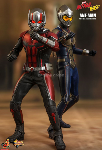 핫토이 1/6 와스프 WASP 앤트맨 피규어 HOTTOYS mms497