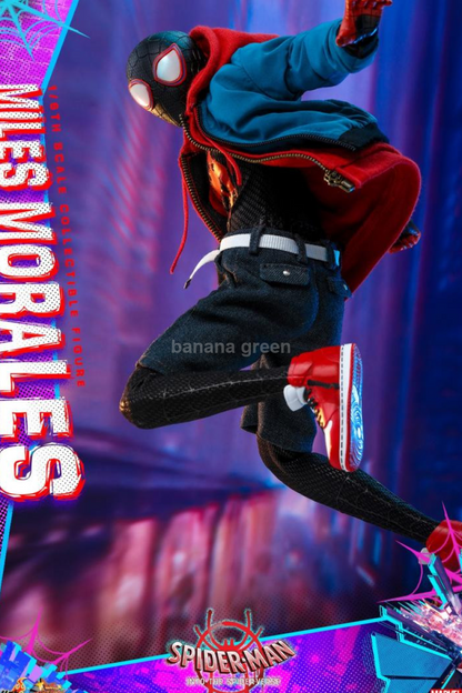 HOTTOYS MMS567 핫토이 스파이더맨 마일스 모랄레스 1/6 피규어