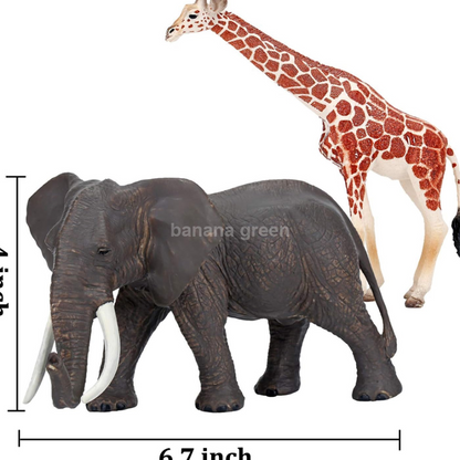 BOLZRA 사파리와 정글 현실적인 동물 피규어 장난감 14피스