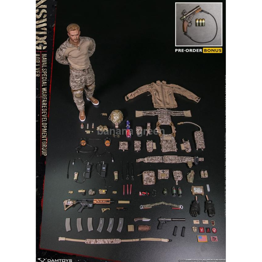 DAMTOYS 78065 댐토이 NSWDG AOR1 1/6 12인치