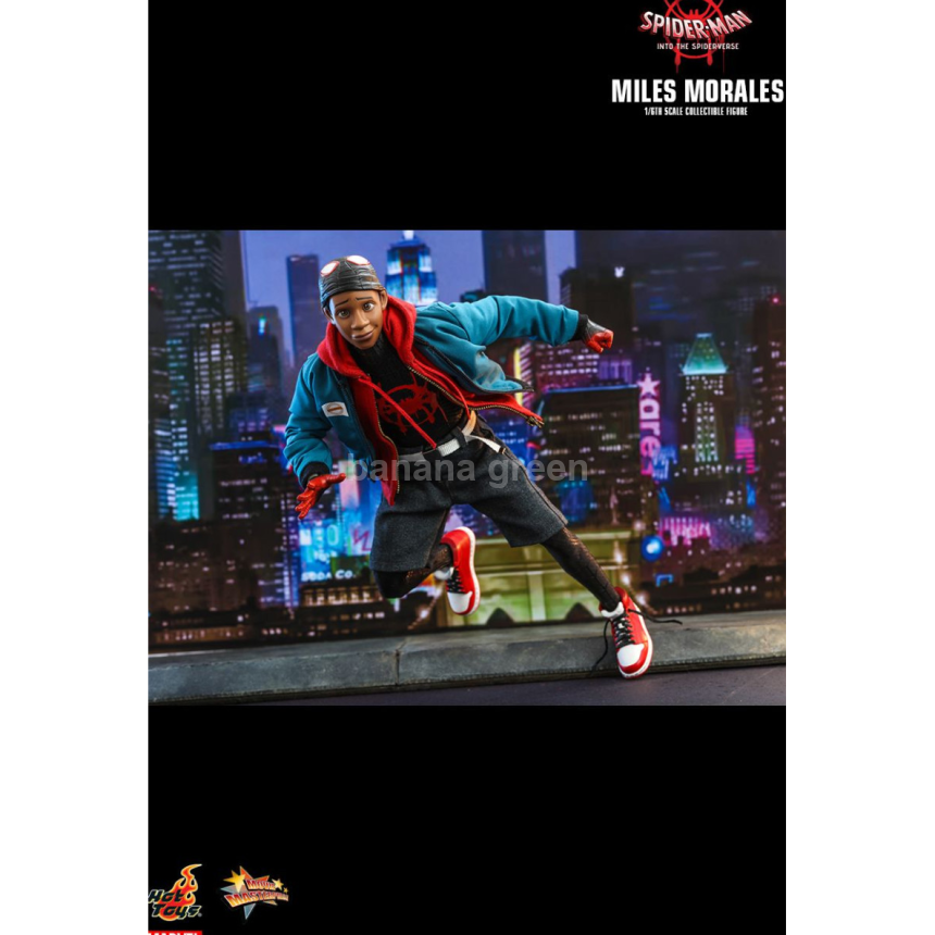 핫토이 HOTTOYS MMS567 스파이더맨 뉴유니버스 1/6 마일즈모랄레스