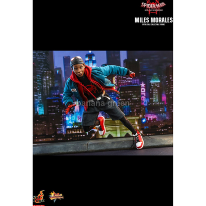 핫토이 HOTTOYS MMS567 스파이더맨 뉴유니버스 1/6 마일즈모랄레스