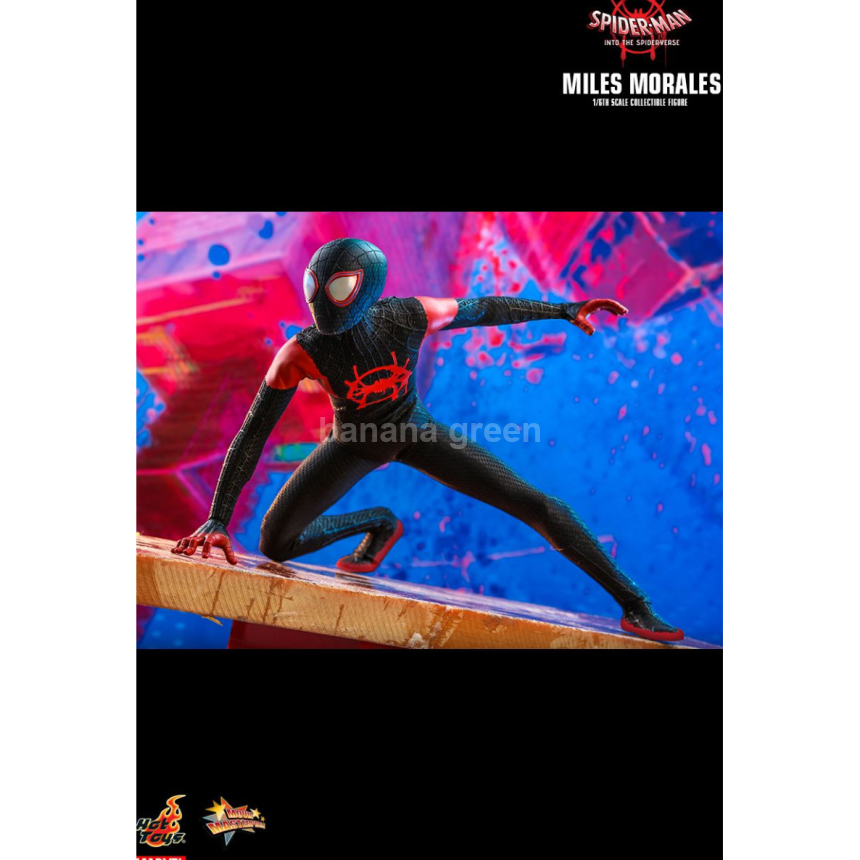 핫토이 HOTTOYS MMS567 스파이더맨 뉴유니버스 1/6 마일즈모랄레스