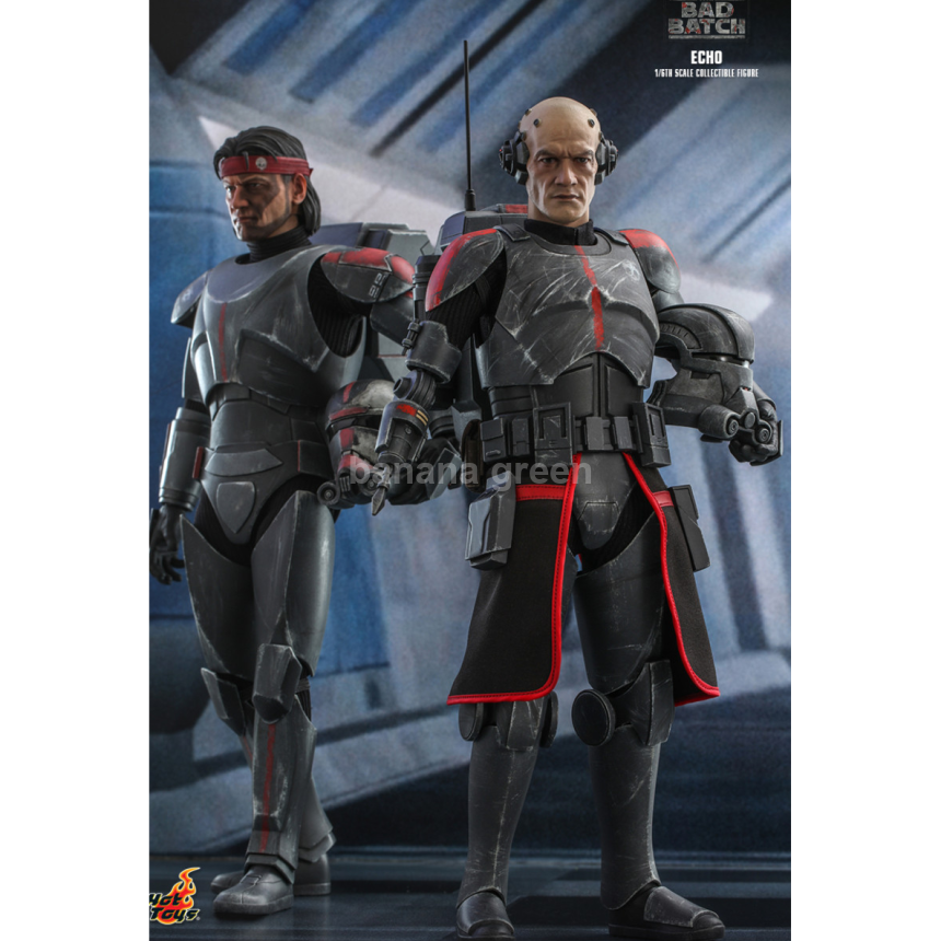 핫토이 Hottoys TMS042 스타워즈 배드배치 1/6 에코