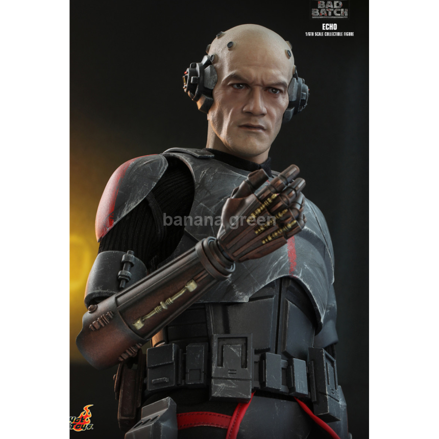 핫토이 Hottoys TMS042 스타워즈 배드배치 1/6 에코