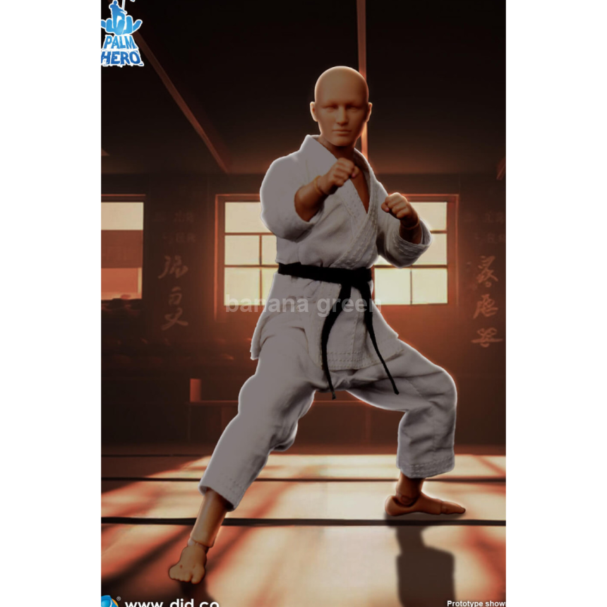 DID SF80001 Simply Fun 1/12 가라데 플레이어