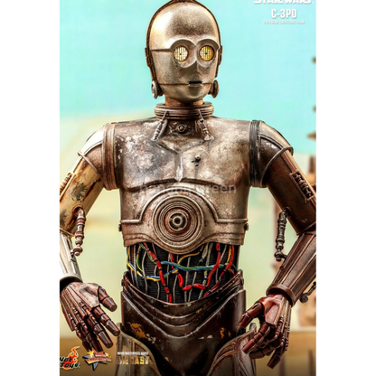 핫토이 Hottoys MMS650D46 스타워즈 클론의습격 1/6 C-3PO