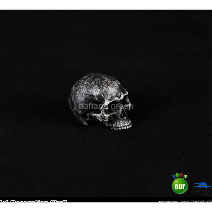 COOMODEL 쿠모델 OUR50006 1/6 해골 스켈레톤