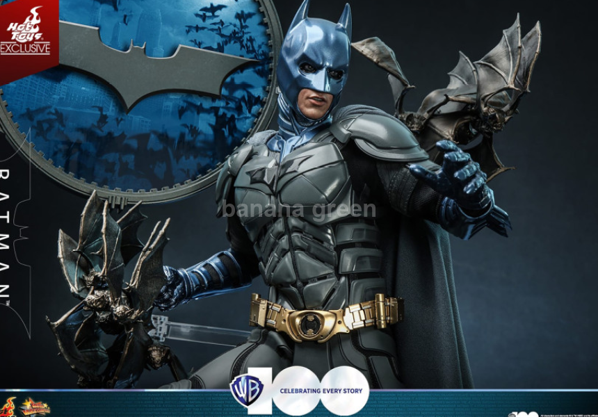 핫토이 MMS697 다크나이트 배트맨 WB100주년 1/6 Hot Toys 피규어