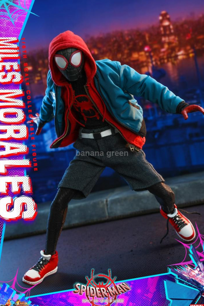 HOTTOYS MMS567 핫토이 스파이더맨 마일스 모랄레스 1/6 피규어