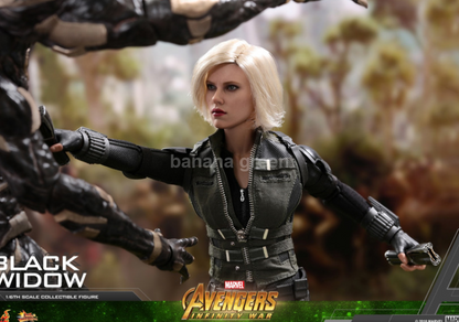 (출시완료) 핫토이 Hot toys MMS460 어벤져스3 인피니티워 블랙위도우 1/6 피규어