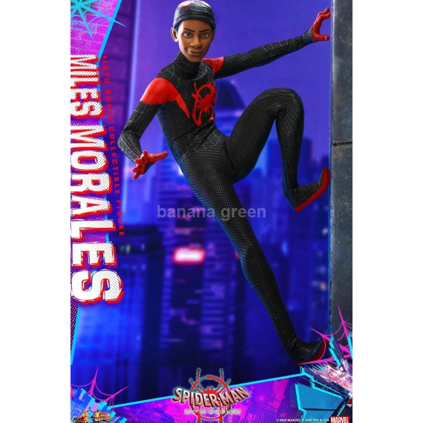 HOTTOYS MMS567 핫토이 스파이더맨 뉴 유니버스 마일즈 모랄레스 피규어 1/6