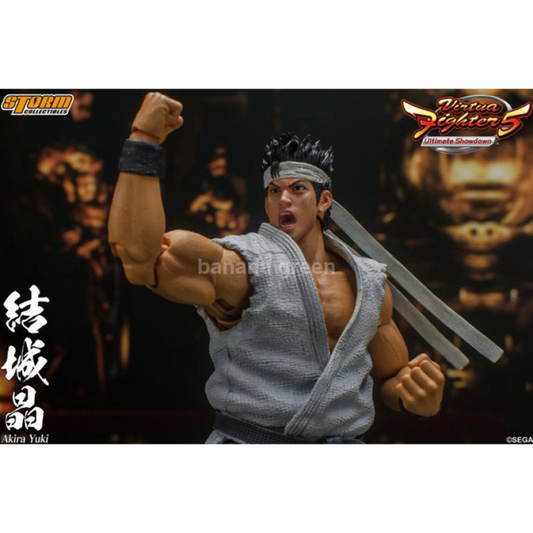 (출시) Storm Toys SGVF01 버츄어파이터 아키라 유키 피규어 1/12