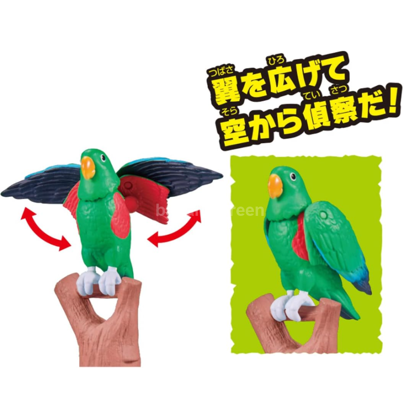 TAKARA TOMY 타카라토미 아니아 모험 대륙 아니아 킹덤 에디 오오하나잉꼬