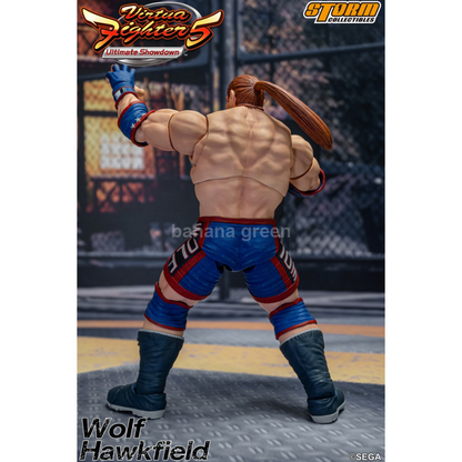 Storm Toys Virtua Fighter VR WOLF HAWKFIELD 볼프 피규어 1/12