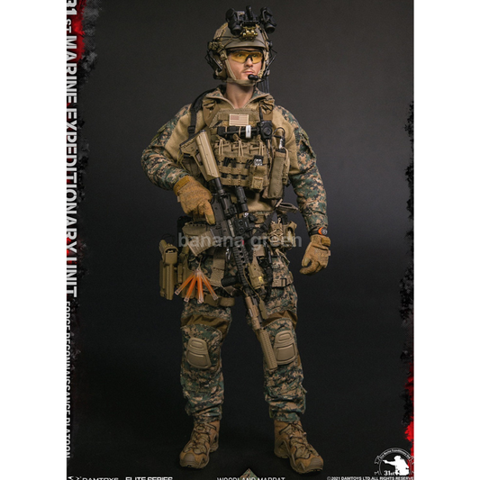 DAMTOYS 댐토이 78089 해병 정찰대 밀리터리 피규어 1/6