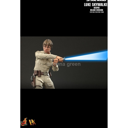 핫토이 Hottoys DX25 스타워즈 1/6 루크 스카이워커 BESPIN 디럭스